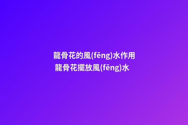 龍骨花的風(fēng)水作用 龍骨花擺放風(fēng)水